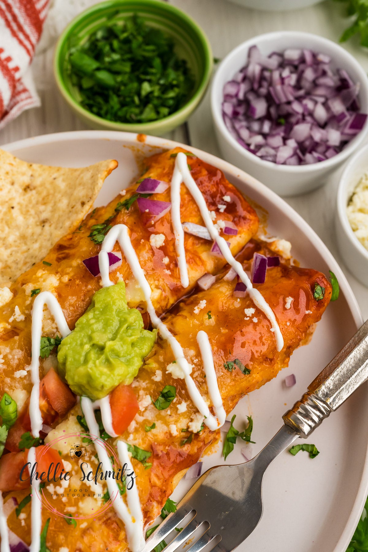 Chicken Enchiladas Recipe